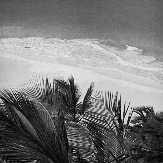 LEISURE LETTER 038: 5 of The Best Beaches - Dandy Del Mar