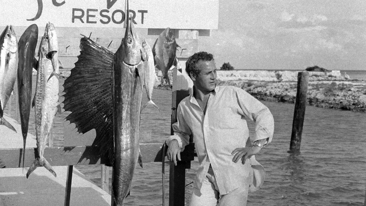 LEISURE LETTER 036: Kona - A Fishing Story Part II