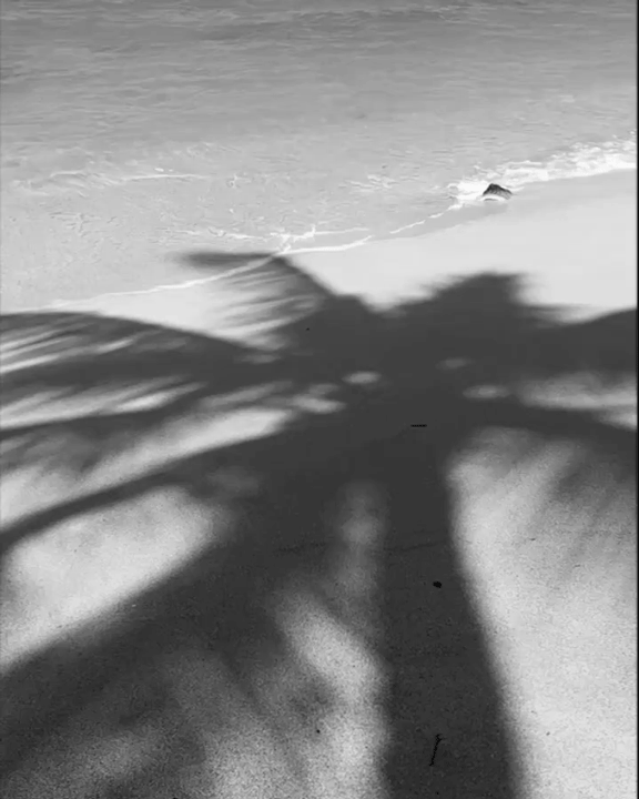 LEISURE LETTER 045: Under The Waving Frond