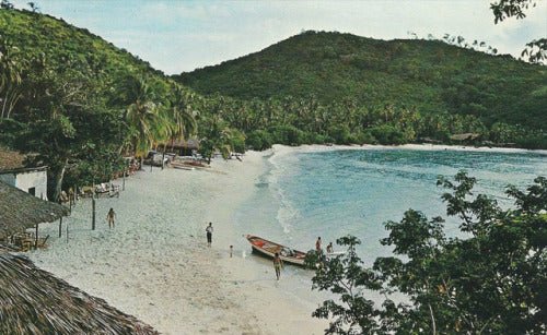 LEISURE LETTER 005: The Fisherman and The Banker - Dandy Del Mar