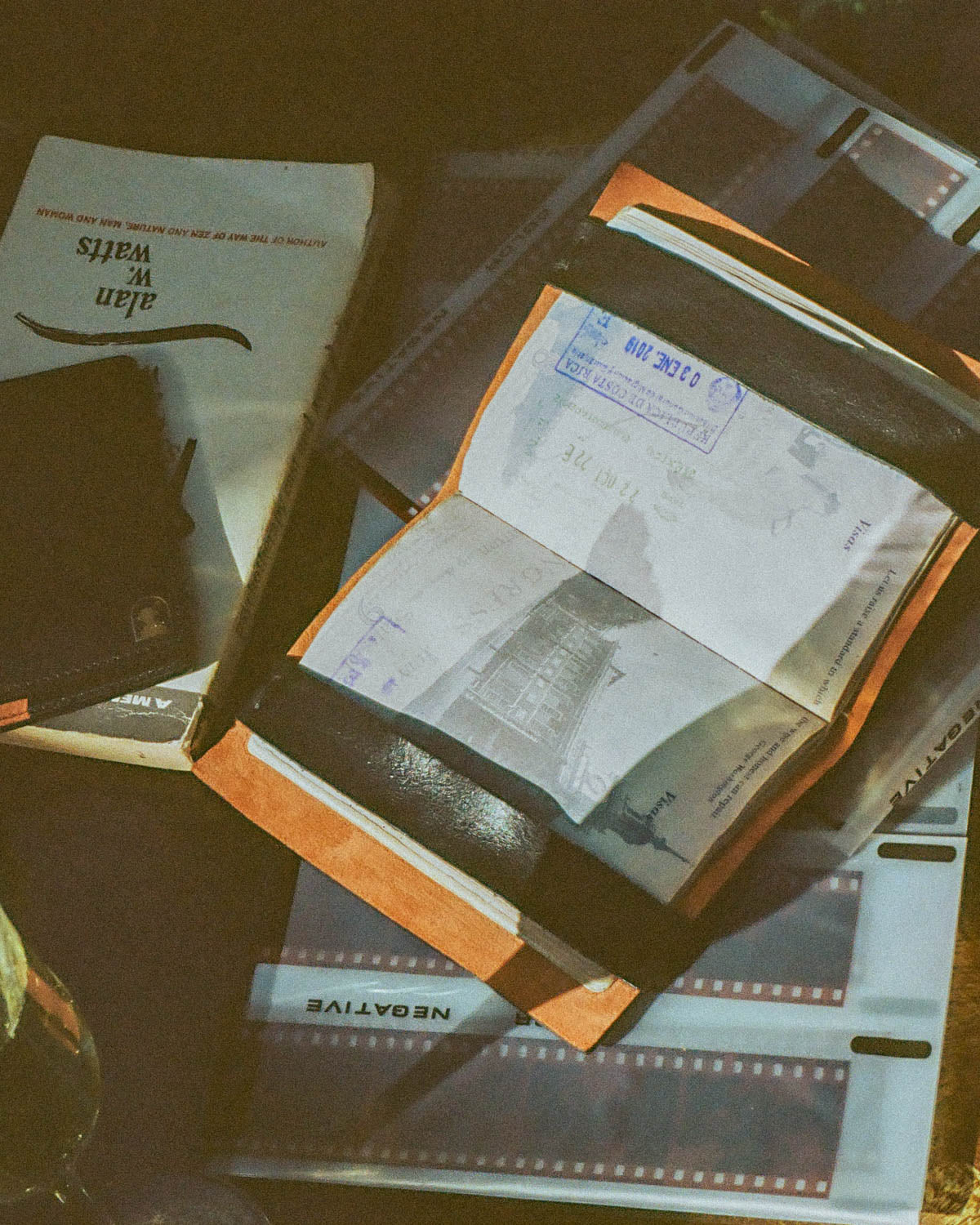 dandy del open passport