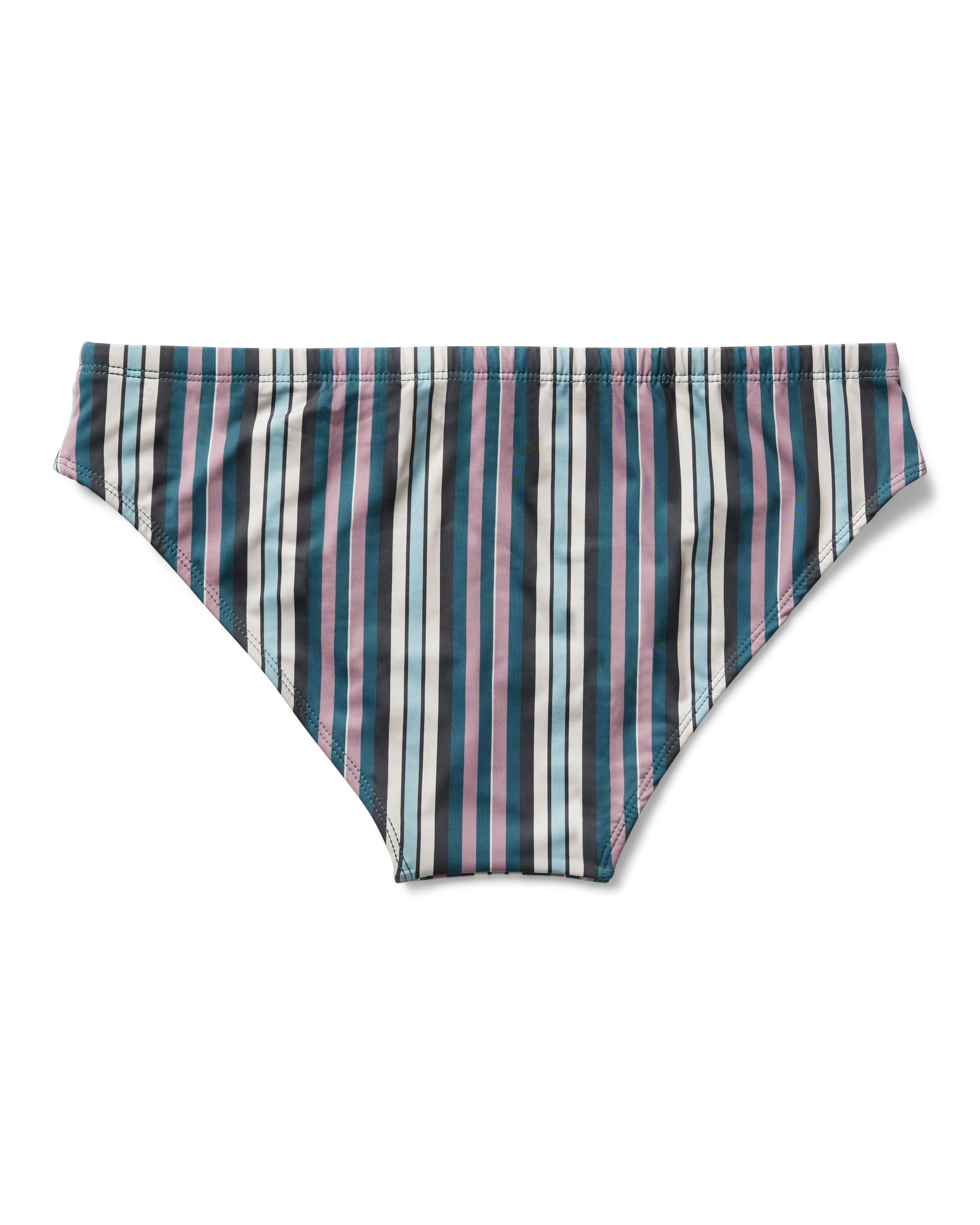 dandy del swim brief