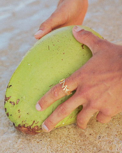 The Dandy Gold Namesake Ring - Dandy Del Mar